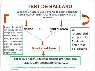 TEST DE BALLARD 
Le asigna un valor a cada criterio de examinación. la 
suma total del cual indica la edad gestacional del 
neonato. 
+ 
FISICOS NEUROLÓGICO 
S 
New Ballard Score 
Escala de mayor 
exactitud, con un 
margen de error 
demás/menos 15 
días, igual que el 
del ultrasonido 
que se obtiene 
entre la 
semana18 y 28 
de gestación. 
bebés que nacen extremadamente pre-términos, 
hasta las 20 semanas de embarazo. 
http://enfermerasperu.blogspot.com/2009/10/evaluacion-de-edad-gestacional-del. 
html 
Es 
recomendad 
a por La 
Academia 
Americana 
de Pediatría 
 