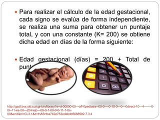  Para realizar el cálculo de la edad gestacional, 
cada signo se evalúa de forma independiente, 
se realiza una suma para obtener un puntaje 
total, y con una constante (K= 200) se obtiene 
dicha edad en días de la forma siguiente: 
 Edad gestacional (días) = 200 + Total de 
puntos 
http://gsdl.bvs.sld.cu/cgi-bin/library?e=d-00000-00---off-0pediatra--00-0----0-10-0---0---0direct-10---4-------0- 
0l--11-es-50---20-help---00-0-1-00-0-0-11-1-0s- 
00&a=d&cl=CL3.1&d=HASHca742e753edabdd5688982.7.3.4 
 
