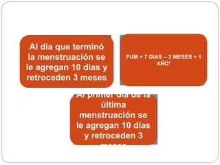 Regla de 
Pinard 
Regla de 
Naegele 
Al día que terminó 
la menstruación se 
le agregan 10 dias y 
retroceden 3 meses 
FUM + 7 DIAS – 3 MESES + 1 
Al primer día de la 
última 
Regla de 
Wahl 
menstruación se 
le agregan 10 días 
y retroceden 3 
meses 
AÑO* 
 