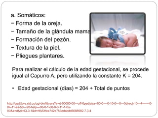 a. Somáticos: 
− Forma de la oreja. 
− Tamaño de la glándula mamaria. 
− Formación del pezón. 
− Textura de la piel. 
− Pliegues plantares. 
Para realizar el cálculo de la edad gestacional, se procede 
igual al Capurro A, pero utilizando la constante K = 204. 
• Edad gestacional (días) = 204 + Total de puntos 
http://gsdl.bvs.sld.cu/cgi-bin/library?e=d-00000-00---off-0pediatra--00-0----0-10-0---0---0direct-10---4-------0- 
0l--11-es-50---20-help---00-0-1-00-0-0-11-1-0s- 
00&a=d&cl=CL3.1&d=HASHca742e753edabdd5688982.7.3.4 
 