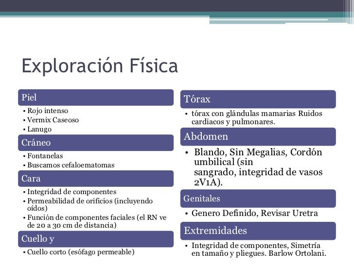 Exploracion fisica otorrinolaringologia pdf to excel