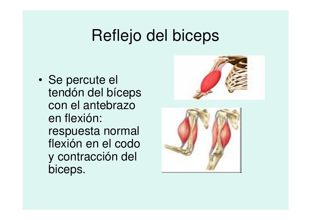 Valoración del sistema nerviso central [modo de compatibilidad]