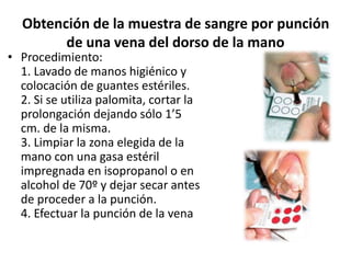 Obtención de la muestra de sangre por punción
de una vena del dorso de la mano
• Procedimiento:
1. Lavado de manos higiénico y
colocación de guantes estériles.
2. Si se utiliza palomita, cortar la
prolongación dejando sólo 1’5
cm. de la misma.
3. Limpiar la zona elegida de la
mano con una gasa estéril
impregnada en isopropanol o en
alcohol de 70º y dejar secar antes
de proceder a la punción.
4. Efectuar la punción de la vena
 