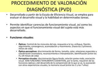 PROCEDIMIENTO DE VALORACIÓN
DIAGNÓSTICA (PVD)
• Desarrollado a partir de la Escala de Eficiencia Visual, se emplea para
evaluar el desarrollo visual y la habilidad en determinadas tareas.
• Permite identificar carencias de funcionamiento visual, así como los
aspectos en que el funcionamiento visual del sujeto está más
desarrollado.
• Funciones visuales:
• Ópticas: Control de los músculos del ojo, respuesta a la luz, enfoque, fijación,
seguimiento, convergencia, acomodación y movimiento. (hasta los 3 primeros
meses de vida)
• Óptico-perceptivas: discriminación de forma, tamaño, color, relaciones espaciales y
coordinación visomotora, reconocimiento e interpretación, identificación (entre los
4 y 24 meses de vida)
• Perceptivo-visuales: discriminación figura-fondo, relación partes-todo, asociación
visual. SON FUNCIONES TOTALMENTE COGNITIVAS, por lo tanto, requieren de las
funciones ópticas y del desarrollo de la comprensión de lo que se ve, la asociación
con otras experiencias visuales, la memoria visual (entre los 2 y los 7 años)
 
