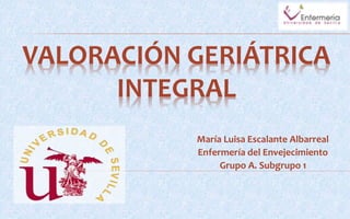 VALORACIÓN GERIÁTRICA
INTEGRAL
María Luisa Escalante Albarreal
Enfermería del Envejecimiento
Grupo A. Subgrupo 1
 