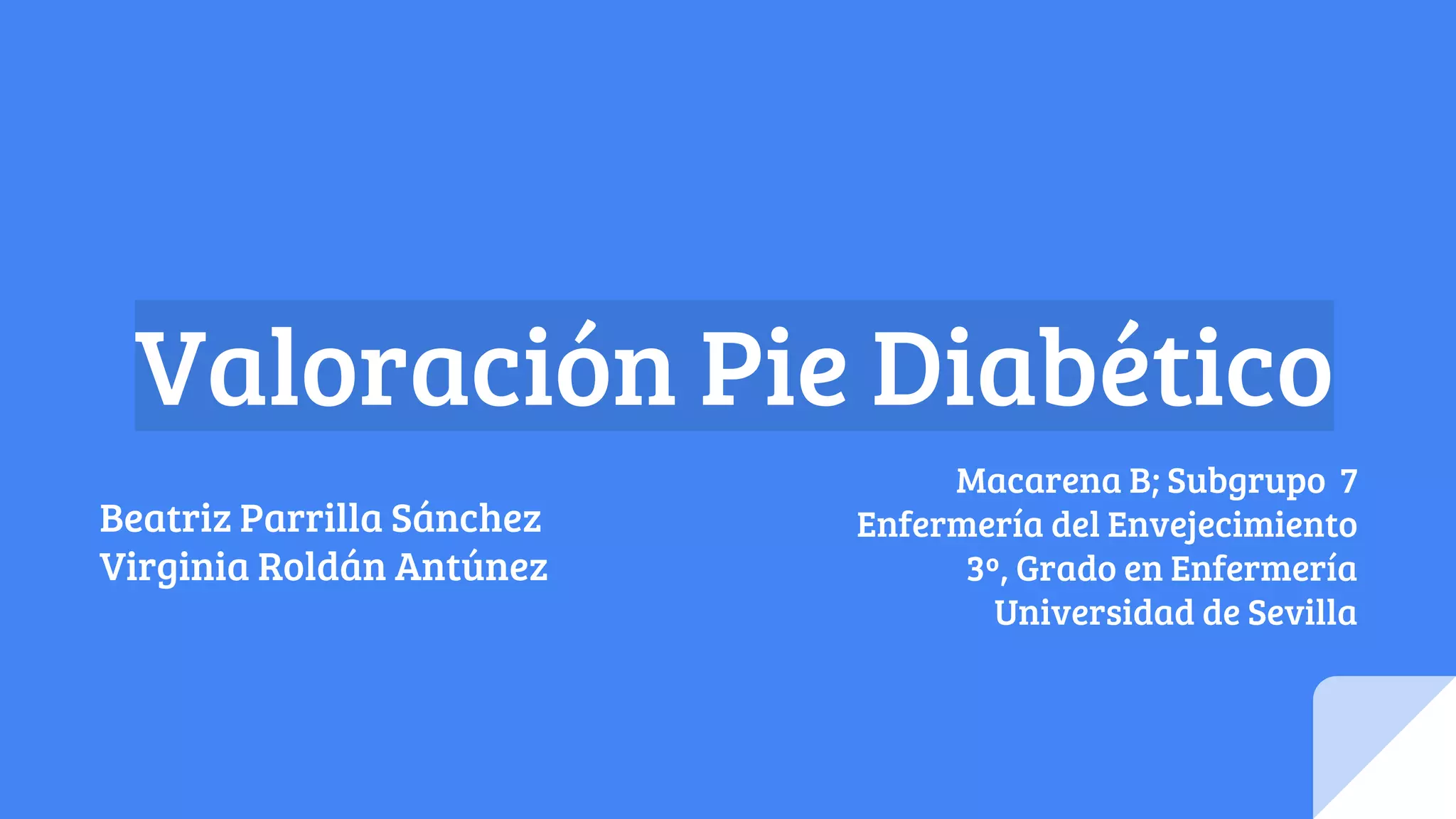 Valoración pie diabético PPT