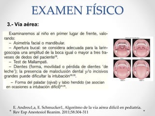 3.- Vía aérea:
EXAMEN FÍSICO
E. Andreu1,a, E. Schmucker1, Algoritmo de la vía aérea difícil en pediatría.
Rev Esp Anestesiol Reanim. 2011;58:304-311
 
