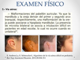 3.- Vía aérea:
EXAMEN FÍSICO
E. Andreu1,a, E. Schmucker1, Algoritmo de la vía aérea difícil en pediatría.
Rev Esp Anestesiol Reanim. 2011;58:304-311
 