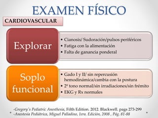 EXAMEN FÍSICO
CARDIOVASCULAR
-Gregory's Pediatric Anesthesia, Fifth Edition. 2012. Blackwell. pags 273-299
-Anestesia Pediátrica, Miguel Palladino, 1era. Edición, 2008 , Pág. 81-88
• Cianosis/ Sudoración/pulsos periféricos
• Fatiga con la alimentación
• Falta de ganancia ponderal
Explorar
• Gado I y II/ sin repercusión
hemodinámica/cambia con la postura
• 2º tono normal/sin irradiaciones/sin frémito
• EKG y Rx normales
Soplo
funcional
 