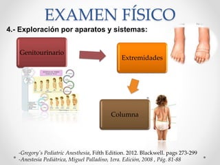 EXAMEN FÍSICO
4.- Exploración por aparatos y sistemas:
-Gregory's Pediatric Anesthesia, Fifth Edition. 2012. Blackwell. pags 273-299
-Anestesia Pediátrica, Miguel Palladino, 1era. Edición, 2008 , Pág. 81-88
Genitourinario
Extremidades
Columna
 