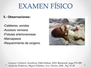 EXAMEN FÍSICO
5.- Observaciones:
-Catéteres, sondas
-Accesos venosos
-Fístulas arteriovenosas
-Marcapasos
-Requerimiento de oxígeno
-Gregory's Pediatric Anesthesia, Fifth Edition. 2012. Blackwell. pags 273-299
-Anestesia Pediátrica, Miguel Palladino, 1era. Edición, 2008 , Pág. 81-88
 