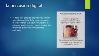 la percusión digital
 el dedo que percute golpea directamente
sobre la superficie de la zona explorada,
es la de menos uso, se practica sobre el
cráneo y algunos otros huesos y sobre los
músculos, buscando contracciones
anómalas,
 
