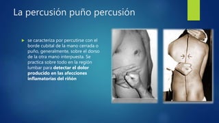 La percusión puño percusión
 se caracteriza por percutirse con el
borde cubital de la mano cerrada o
puño, generalmente, sobre el dorso
de la otra mano interpuesta. Se
practica sobre todo en la región
lumbar para detectar el dolor
producido en las afecciones
inflamatorias del riñón
 