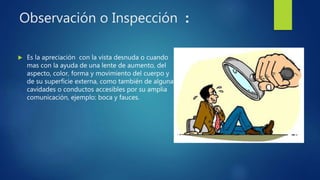 Observación o Inspección :
 Es la apreciación con la vista desnuda o cuando
mas con la ayuda de una lente de aumento, del
aspecto, color, forma y movimiento del cuerpo y
de su superficie externa, como también de algunas
cavidades o conductos accesibles por su amplia
comunicación, ejemplo: boca y fauces.
 