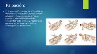 Palpación:
 Es la apreciación manual de la sensibilidad,
temperatura, consistencia, forma, tamaño
,situación y movimientos de la región
explorada, ello valiéndonos de la
sensibilidad táctil, térmica y vibratoria, así
como de los sentidos de presión y
estereognosico de las manos.
 