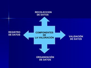 COMPONENTES DE  LA VALORACIÓN RECOLECCION  DE DATOS  VALIDACIÓN DE DATOS ORGANIZACIÓN DE DATOS REGISTRO DE DATOS 
