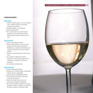 productos-2:Especial Aceite

15/9/08

15:59

Página 7

VALORACIÓN ORGANOLÉPTICA Y SENSORIAL DE PRODUCTOS ECOLÓGICOS VINO

VINOS BLANCOS
FASE VISUAL
• Colores amarillos pajizos, con poca carga de
color y ribetes verdosos que aportan
sensación de juventud.
• Perfecta limpidez y muy brillantes.
• Expresando juventud.
• No son adecuados los colores blancos
acerados y tonos verdosos de media
intensidad que indican evolución de los
vinos.

FASE OLFATIVA
• Potente intensidad aromática.
• Notas frutales (plátano, manzana verde,
mango, pomelo, fruta de la pasión) y
florales (rosas, violetas, flores blancas) que
muestren juventud y ante todo carácter
varietal.
• Franqueza y personalidad aromática de los
vinos.
• Se consideran negativas las notas a
reducción o aromas poco propios de la
variedad que muestren síntomas de
evolución.
• La intensidad aromática baja.

FASE GUSTATIVA
• Elevada intensidad gustativa.
• Predominio de notas varietales equilibradas,
limpias, francas y agradables.
• Cierto grado de complejidad gustativa.
• Punto de acidez justo para comunicar
sensación de frescura.
• Buena intensidad de aromas en vía
retronasal y persistencia agradable.
• No es recomendable la aparición de notas
gustativas simples, anodinas, sin sensación
de frescura debido a la falta de acidez.
7

 