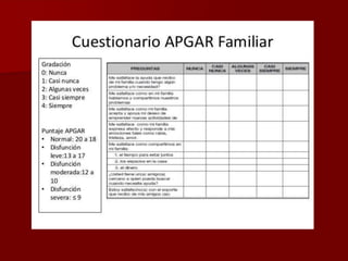 Apgar Familiar
 