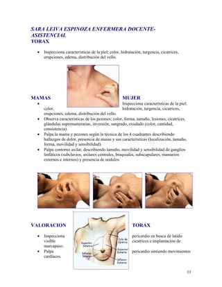 SARA LEIVA ESPINOZA ENFERMERA DOCENTE-
ASISTENCIAL
TORAX

 •   Inspecciona características de la piel; color, hidratación, turgencia, cicatrices,
     erupciones, edema, distribución del vello.




MAMAS                                               MUJER
 •                                                   Inspecciona características de la piel;
     color,                                          hidratación, turgencia, cicatrices,
     erupciones, edema, distribución del vello.
 •   Observa características de los pezones; color, forma, tamaño, lesiones, cicatrices,
     glándulas supernumerarias, inversión, sangrado, exudado (color, cantidad,
     consistencia).
 •   Palpa la mama y pezones según la técnica de los 4 cuadrantes describiendo
     hallazgos de dolor, presencia de masas y sus características (localización, tamaño,
     forma, movilidad y sensibilidad).
 •   Palpa contorno axilar, describiendo tamaño, movilidad y sensibilidad de ganglios
     linfáticos (subclavios, axilares centrales, braquiales, subscapulares, mamarios
     externos e internos) y presencia de nódulos.




VALORACION                                                TORAX

 •   Inspecciona                                          pericardio en busca de latido
     visible                                              cicatrices e implantación de
     marcapaso.
 •   Palpa                                                pericardio sintiendo movimientos
     cardíacos.


                                                                                           11
 