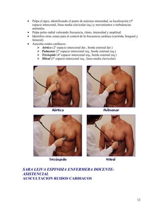 •   Palpa el ápex, identificando el punto de máxima intensidad, su localización (5º
      espacio intercostal, línea media clavicular izq.) y movimientos o turbulencias
      anómalas.
  •   Palpa pulso radial valorando frecuencia, ritmo, intensidad y amplitud.
  •   Identifica otras zonas para el control de la frecuencia cardiaca (carótida, braquial y
      femoral).
  •   Ausculta ruidos cardíacos:
          Aórtico (2º espacio intercostal der., borde esternal der.)
          Pulmonar (2º espacio intercostal izq., borde esternal izq.)
          Tricúspide (4º espacio intercostal izq., borde esternal izq.)
          Mitral (5º espacio intercostal izq., línea media clavicular)




SARA LEIVA ESPINOZA ENFERMERA DOCENTE-
ASISTENCIAL
AUSCULTACION RUIDOS CARDIACOS




                                                                                           12
 