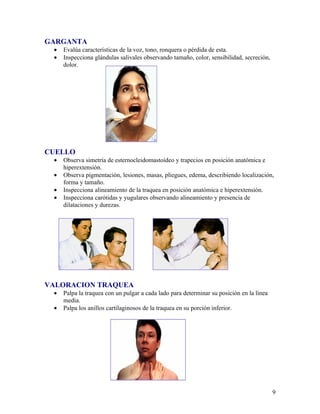 GARGANTA
 •   Evalúa características de la voz, tono, ronquera o pérdida de esta.
 •   Inspecciona glándulas salivales observando tamaño, color, sensibilidad, secreción,
     dolor.




CUELLO
 •   Observa simetría de esternocleidomastoídeo y trapecios en posición anatómica e
     hiperextensión.
 •   Observa pigmentación, lesiones, masas, pliegues, edema, describiendo localización,
     forma y tamaño.
 •   Inspecciona alineamiento de la traquea en posición anatómica e hiperextensión.
 •   Inspecciona carótidas y yugulares observando alineamiento y presencia de
     dilataciones y durezas.




VALORACION TRAQUEA
 •   Palpa la traquea con un pulgar a cada lado para determinar su posición en la línea
     media.
 •   Palpa los anillos cartilaginosos de la traquea en su porción inferior.




                                                                                          9
 