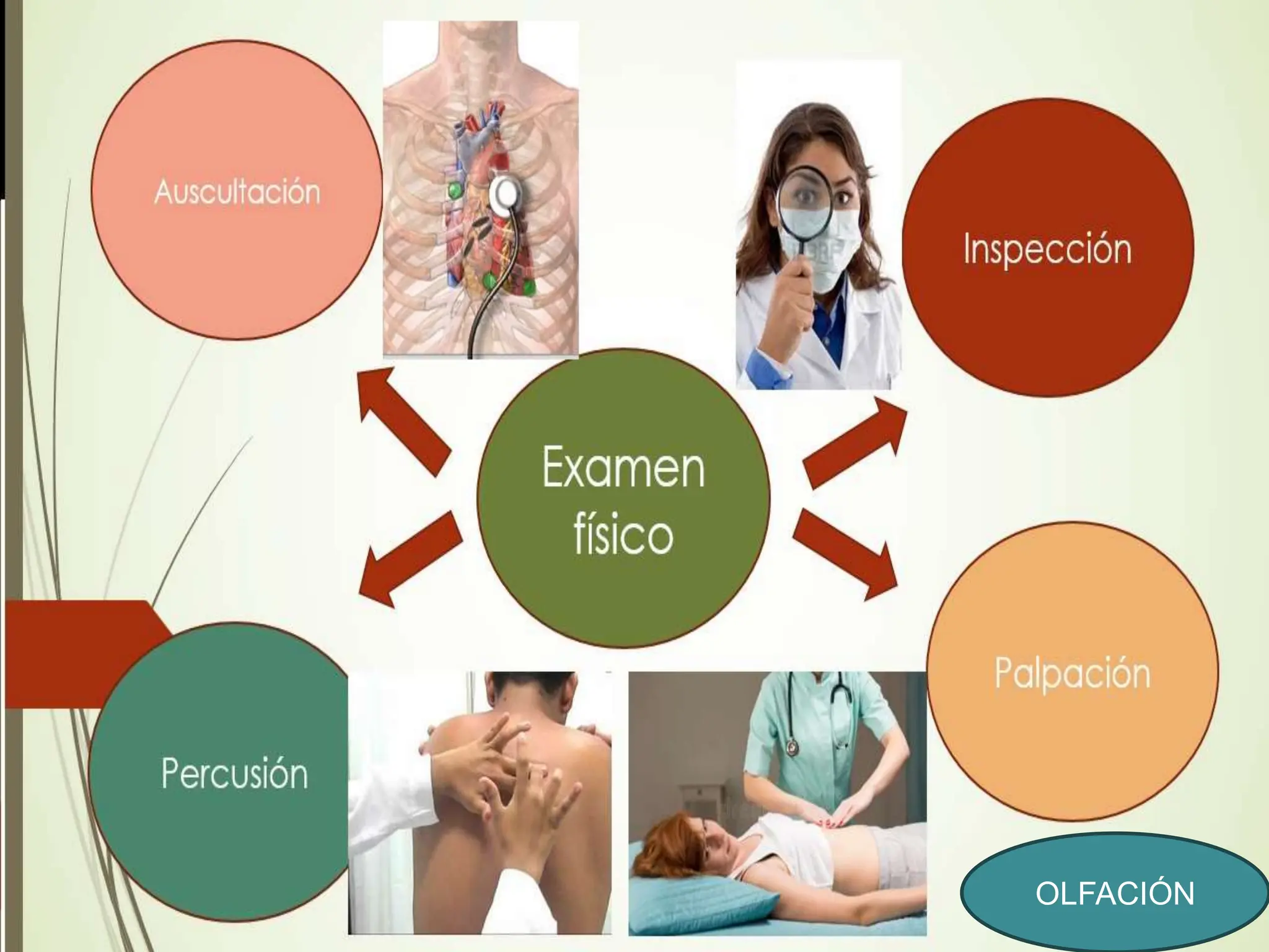 VALORACION CEFALOCAUDAL Anamnesis Examen Fisico RN 2024.pptx