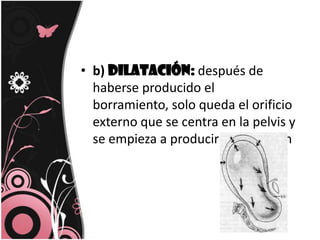b) Dilatación:después de haberse producido el borramiento, solo queda el orificio externo que se centra en la pelvis y se empieza a producir la dilatación