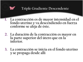 Triple Gradiente DescendenteLa contracción es de mayor intensidad en el fondo uterino y va descendiendo en fuerza conforme se aleja de éste. La duración de la contracción es mayor en la parte superior del útero que en la inferior.La contracción se inicia en el fondo uterino y se propaga desde allí