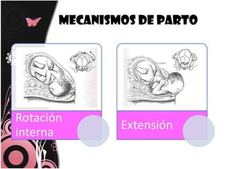 Mecanismos de parto 