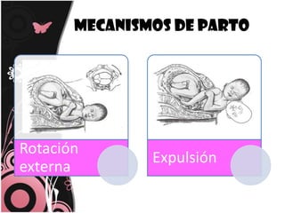 Mecanismos de parto 