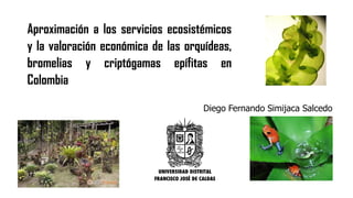 Aproximación a los servicios ecosistémicos
y la valoración económica de las orquídeas,
bromelias y criptógamas epífitas en
Colombia
Diego Fernando Simijaca Salcedo
 