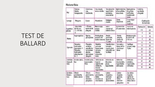 VALORACION DEL NEONATO.pptx