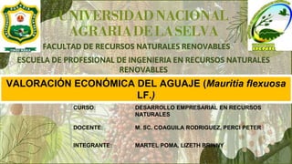 FACULTAD DE RECURSOS NATURALES RENOVABLES
UNIVERSIDADNACIONAL
AGRARIADE LA SELVA
ESCUELA DE PROFESIONAL DE INGENIERIA EN RECURSOS NATURALES
RENOVABLES
DOCENTE: M. SC. COAGUILA RODRIGUEZ, PERCI PETER
VALORACIÓN ECONÓMICA DEL AGUAJE (Mauritia flexuosa
LF.)
CURSO: DESARROLLO EMPRESARIAL EN RECURSOS
NATURALES
INTEGRANTE: MARTEL POMA, LIZETH BRINNY
 