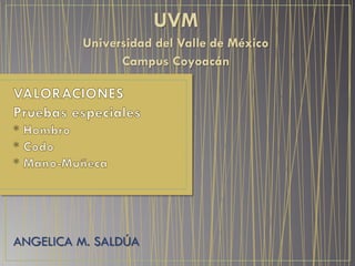 ANGELICA M. SALDÚA
UVM
Universidad del Valle de México
Campus Coyoacán
 