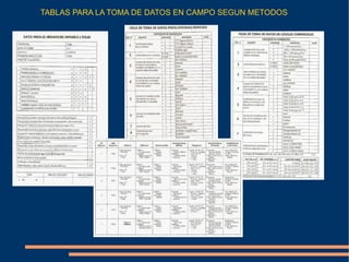 TABLAS PARA LA TOMA DE DATOS EN CAMPO SEGUN METODOS
 