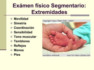 Exámen físico Segmentario:
Extremidades
 Movilidad
 Simetría
 Coordinación
 Sensibilidad
 Tono muscular
 Temblores
 Reflejos
 Manos
 Pies
 