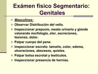 Exámen físico Segmentario:
Genitales
 Masculinos:
 Observar Distribución del vello.
 Inspeccionar prepucio, meato urinario y glande
valorando morfología, olor, secreciones,
lesiones, dolor.
 Palpar cuerpo del pene.
 Inspeccionar escroto: tamaño, color, edema,
ulceraciones, abscesos, quistes.
 Palpar bolsa escrotal y testículos.
 Inspeccionar presencia de hernias.
 