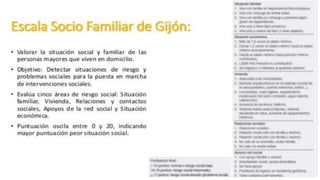 VALORACIÓN GERIÁTRICA INTEGRAL - ESSALUD