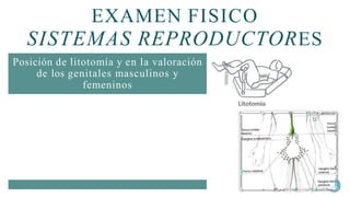 EXAMEN FISICO
SISTEMAS REPRODUCTORES
Posición de litotomía y en la valoración
de los genitales masculinos y
femeninos
El examen genital del
hombre se inicia
valorando el pene,
luego el escroto, los
testículos y
finalmente, se valora
la región inguinal.
Para finalizar la
valoración de
genitales tanto en
hombres como en
mujeres, se debe
evaluar la cadena
ganglionar, ubicada
en la zona inguinal
 