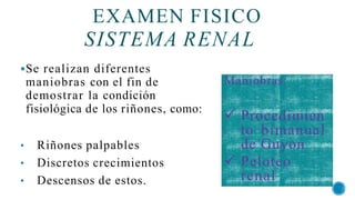Se realizan diferentes
maniobras con el fin de
demostrar la condición
fisiológica de los riñones, como:
• Riñones palpables
• Discretos crecimientos
• Descensos de estos.
EXAMEN FISICO
SISTEMA RENAL
Maniobras:
 Procedimien
to bimanual
de Guyon
 Peloteo
renal
 