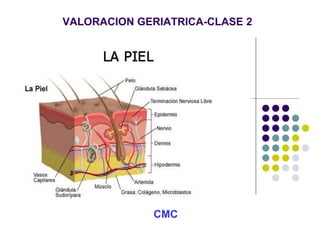 VALORACION GERIATRICA-CLASE 2
CMC
 