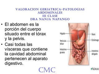 VALORACION GERIATRICA-PATOLOGIAS
ABDOMINALES
III CLASE
DRA NANjA NAPANGO
• El abdomen es la
porción del cuerpo
situado entre el tórax
y la pelvis.
• Casi todas las
vísceras que contiene
la cavidad abdominal
pertenecen al aparato
digestivo.
CMC
 