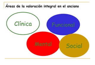 Clínica Funcional Mental Social Áreas de la valoración integral en el anciano 