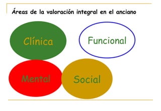 Clínica Funcional Mental Social Áreas de la valoración integral en el anciano 