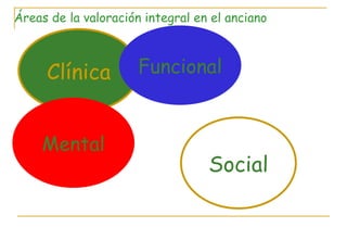 Clínica Funcional Mental Social Áreas de la valoración integral en el anciano 