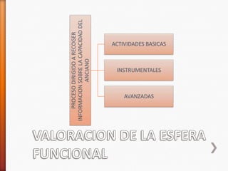 PROCESO DIRIGIDO A RECOGER
INFORMACION SOBRE LA CAPACIDAD DEL
             ANCIANO
       AVANZADAS
                   INSTRUMENTALES
                                    ACTIVIDADES BASICAS
 