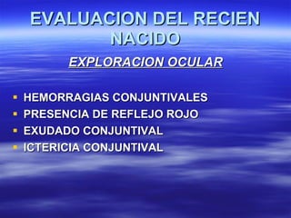 EVALUACION DEL RECIEN NACIDO <ul><li>EXPLORACION OCULAR </li></ul><ul><li>HEMORRAGIAS CONJUNTIVALES </li></ul><ul><li>PRES...