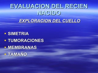 EVALUACION DEL RECIEN NACIDO <ul><li>EXPLORACION DEL CUELLO </li></ul><ul><li>SIMETRIA </li></ul><ul><li>TUMORACIONES </li...