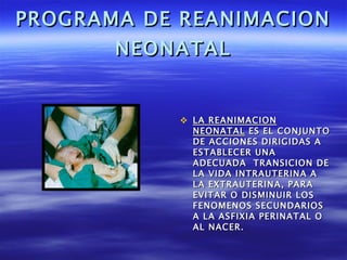 PROGRAMA DE REANIMACION NEONATAL <ul><li>LA REANIMACION NEONATAL  ES EL CONJUNTO DE ACCIONES DIRIGIDAS A ESTABLECER UNA AD...