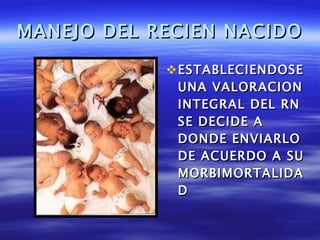 MANEJO DEL RECIEN NACIDO <ul><li>ESTABLECIENDOSE UNA VALORACION INTEGRAL DEL RN SE DECIDE A DONDE ENVIARLO DE ACUERDO A SU...